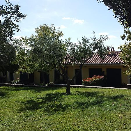 Agriturismo La Vite E Gli Ulivi Villa Ariccia Kültér fotó