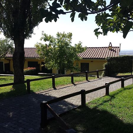 Agriturismo La Vite E Gli Ulivi Villa Ariccia Kültér fotó
