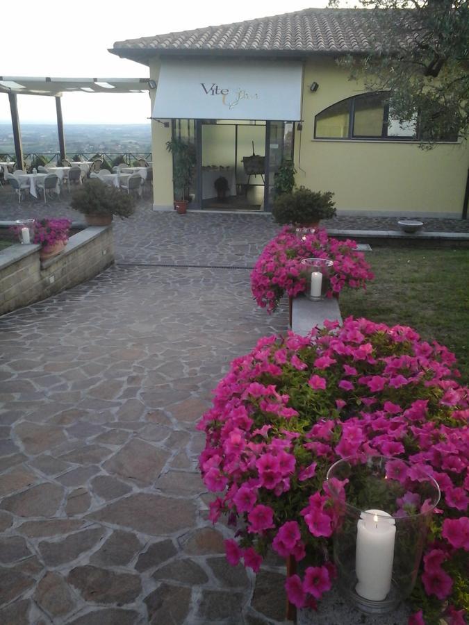 Agriturismo La Vite E Gli Ulivi Villa Ariccia Kültér fotó