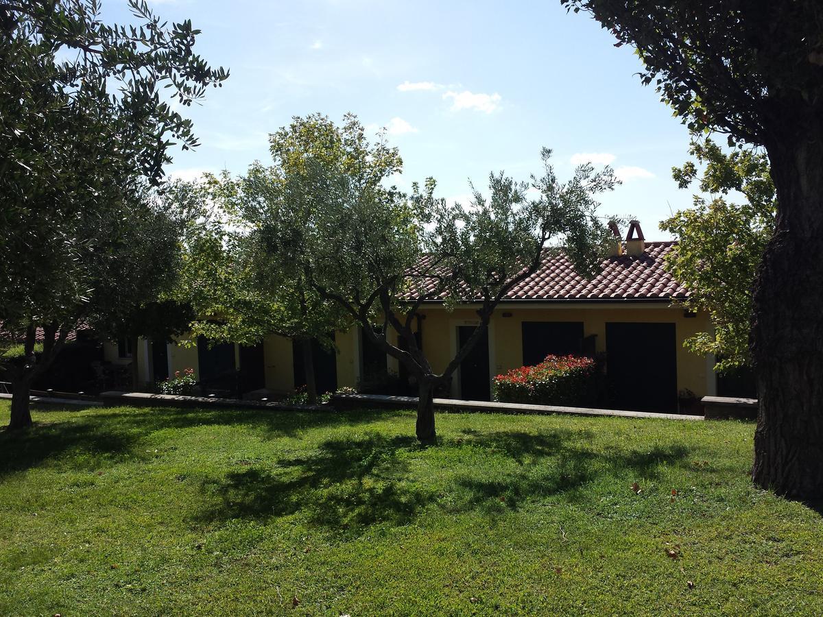 Agriturismo La Vite E Gli Ulivi Villa Ariccia Kültér fotó